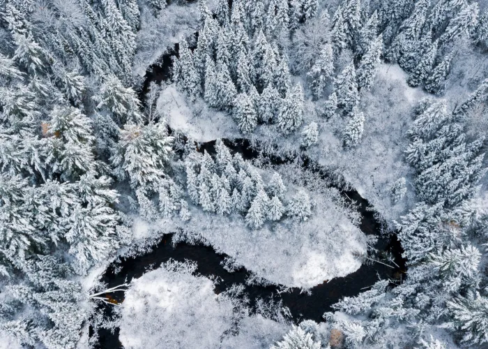 Winter Stream