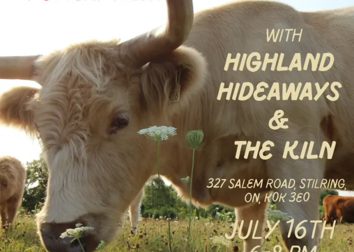 Highland cow standing in a field, event details